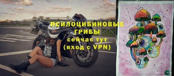 шишки Абаза