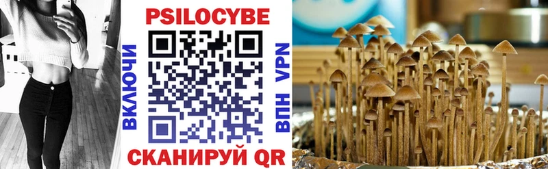 omg вход  Анадырь  Галлюциногенные грибы Psilocybe  даркнет сайт 